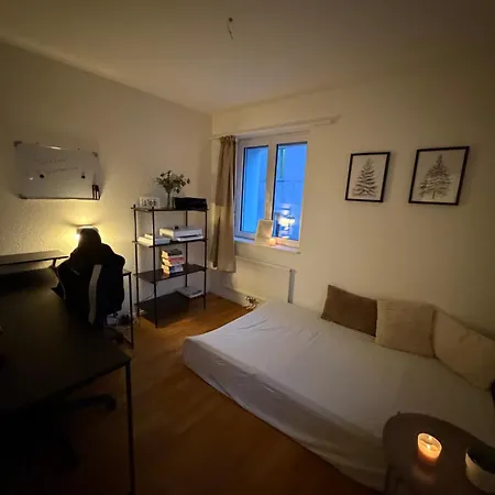 Lejlighed Moderne 4-zimmer Nahe Bodensee Mit Balkon Rorschach